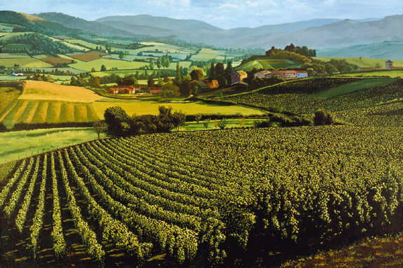 Vineyards by Don Lazo